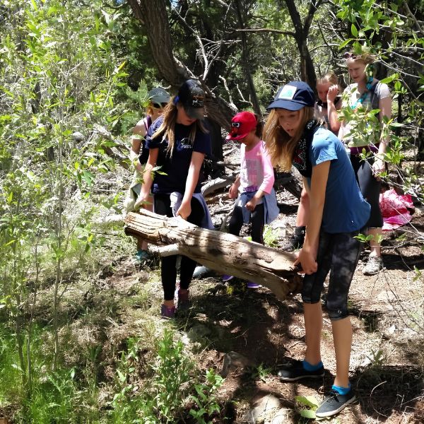 Children enjoying playing age-appropriate games in the forest, experiencing the joy of being connected to nature
